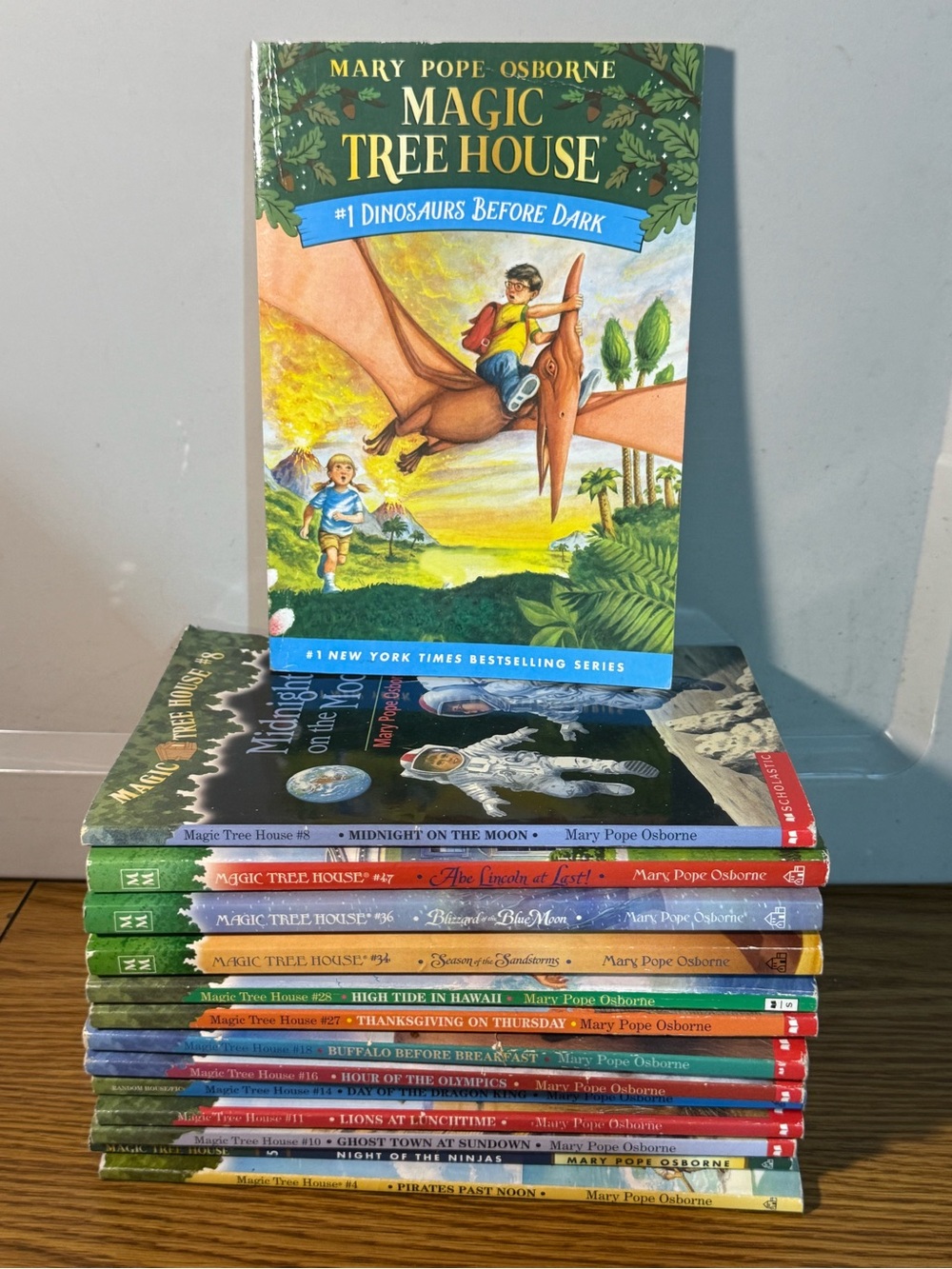 The Magic Tree House series book lot paperback books